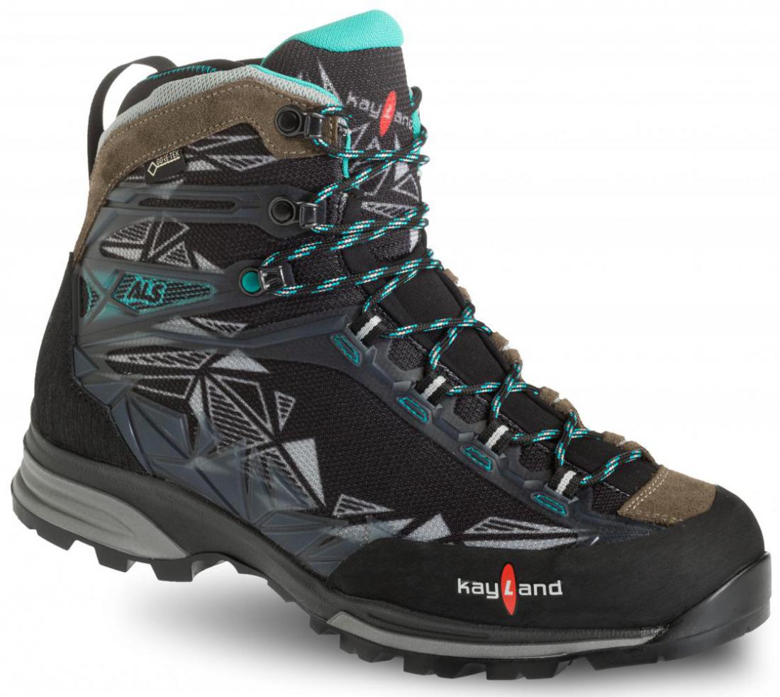 Cross Ground Ws Gtx, brown